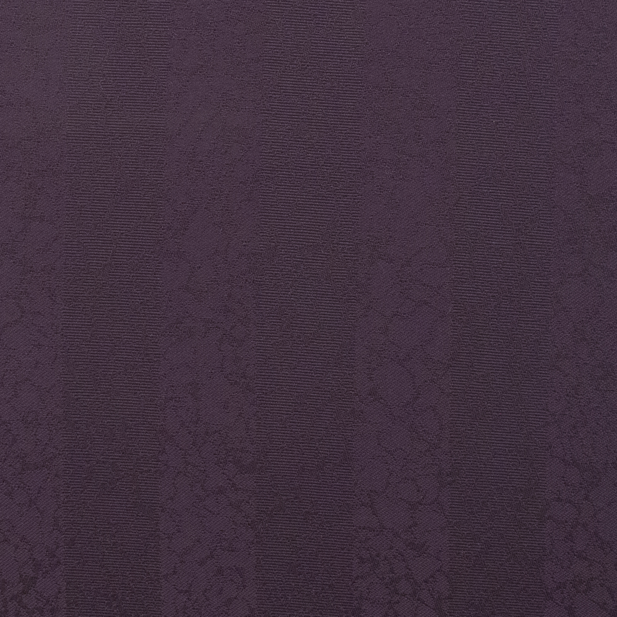 9900_Athena_Eggplant_49