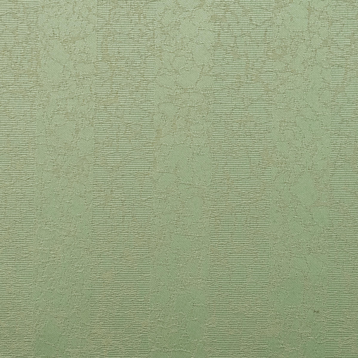 9900_Athena_Fern_30