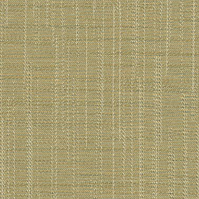 Interspec_2948_Rain_Beech_11
