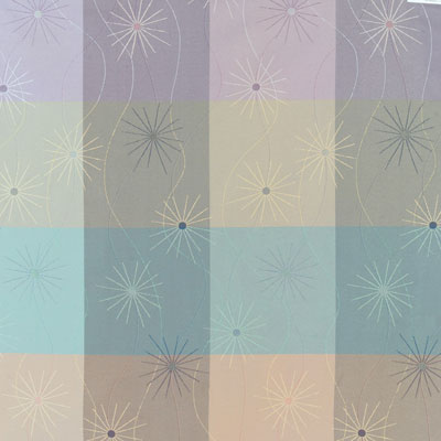 Interspec_5035_Cosmos_Madras_17